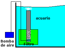 [Colocacion del filtro de esponja]