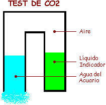 [Esquema del test de CO2]